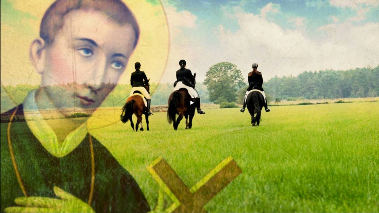 Het wonder van Weebosch