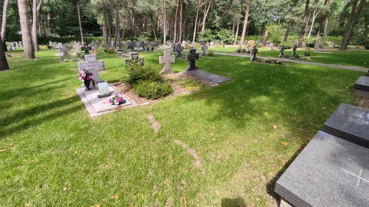 Overdag is er geen hert te vinden (foto: Mark Masereeuw).