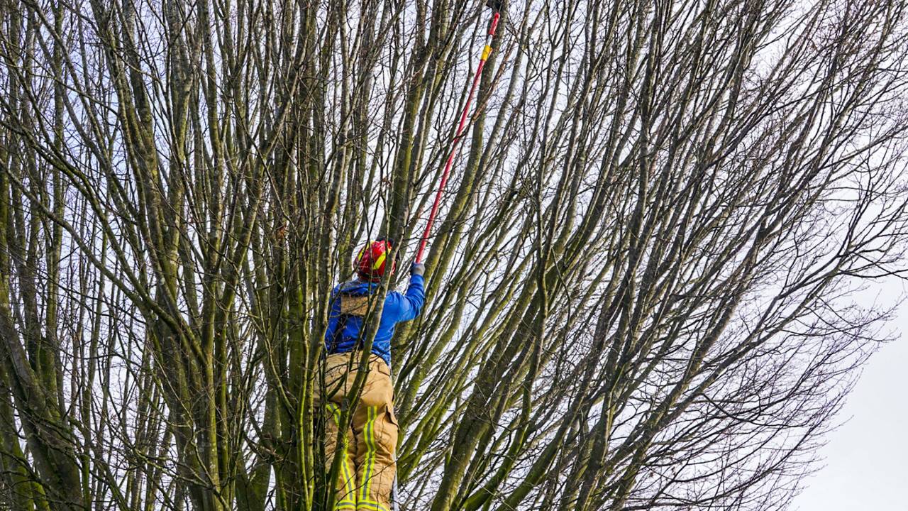 Foto: Dave Hendriks/SQ Vision