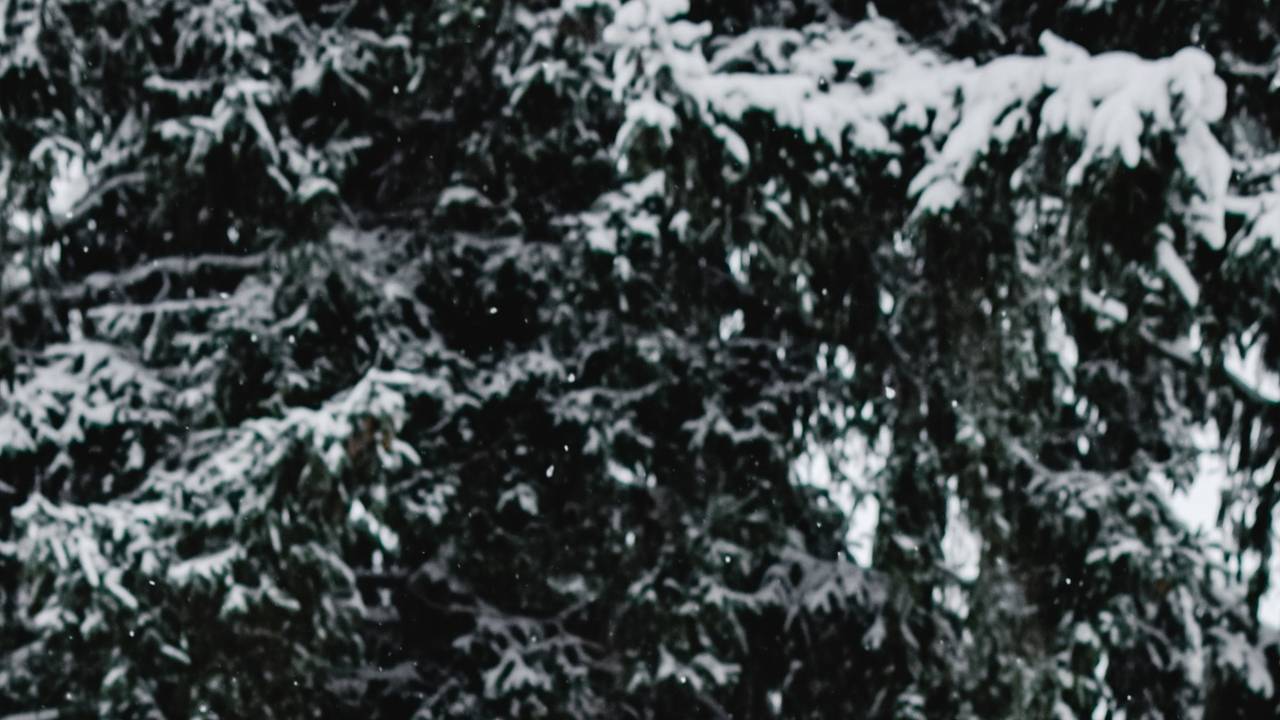 Witte kerst! Onze weerman durft er wel een paar tientjes op in te zetten (foto: Pexels).