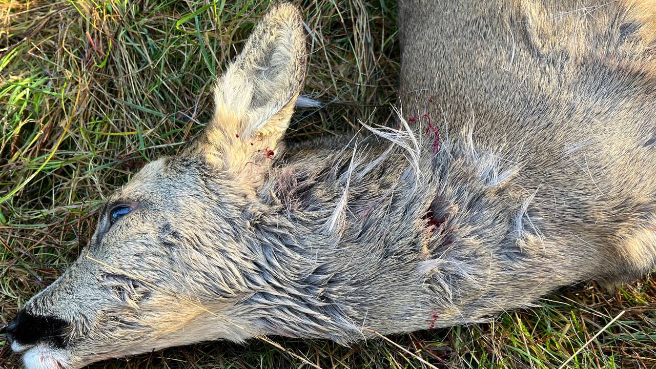 Foto: Natuurmonumenten Jan Meesters.