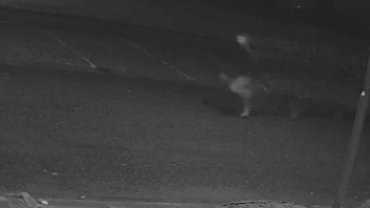 Foto: beeld uit Bureau Brabant.