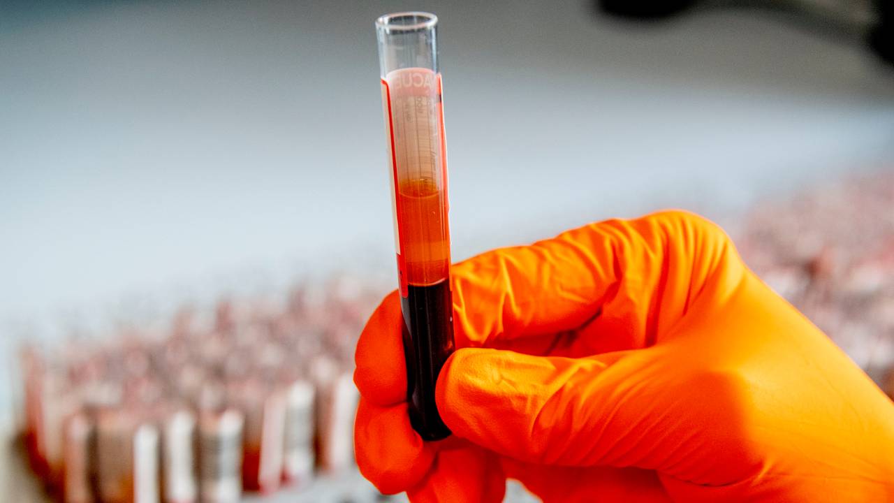 Het testlab van Sanquin (foto: ANP 20220/Robin Utrecht).