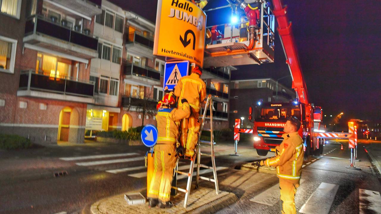 Foto: Rico Bogels/SQ Vison.