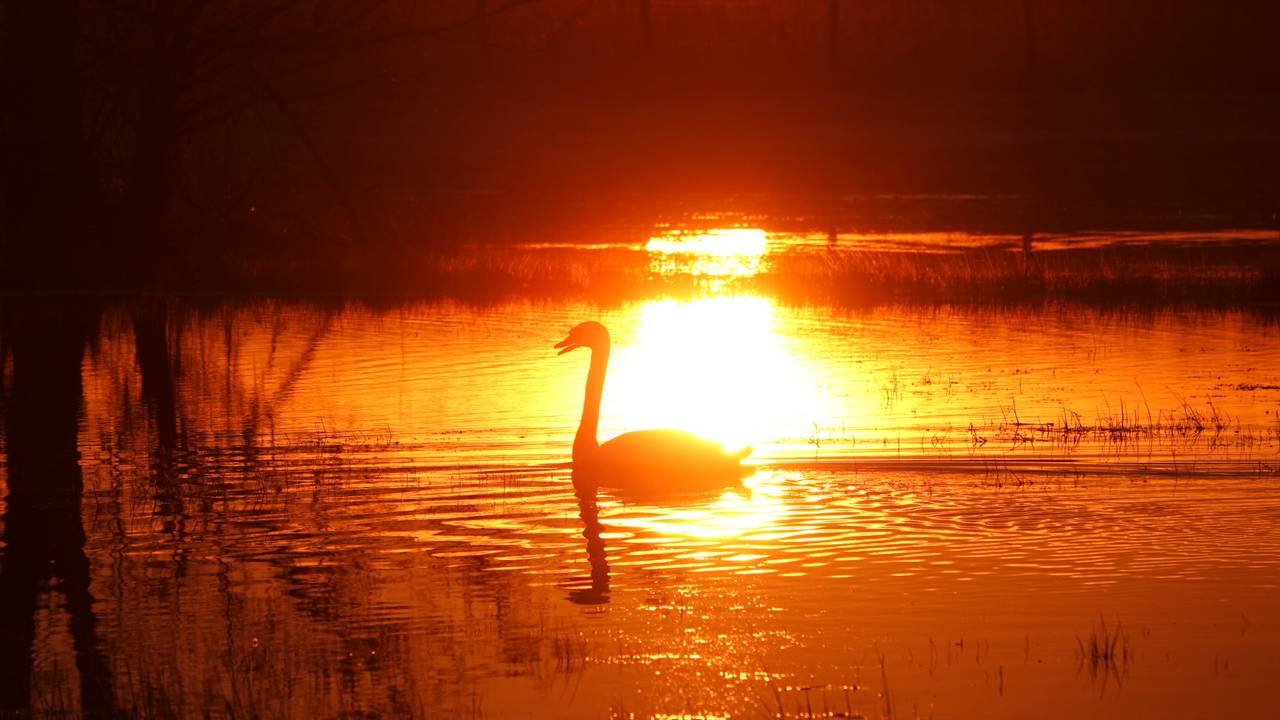 Zuidoost-Brabant kent een frisse maar mooie kleurrijke start van de dag. Foto: Ben Saanen.