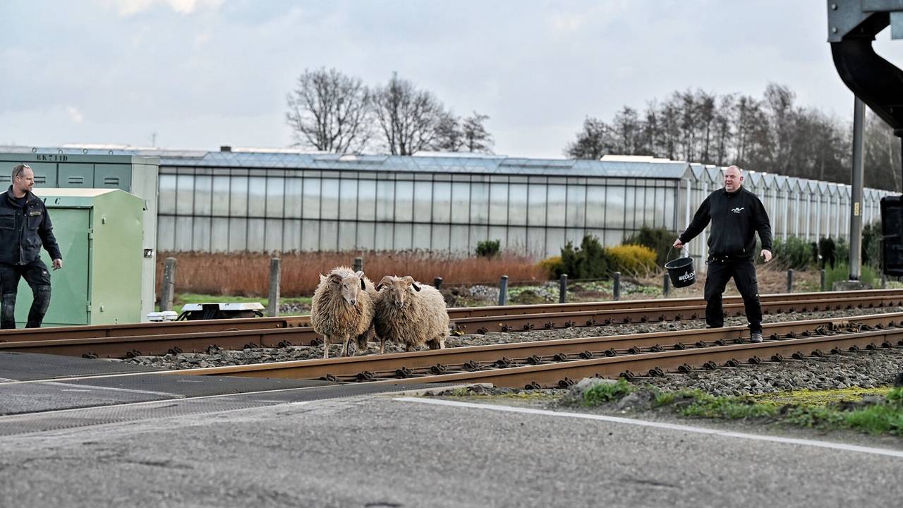 Foto: Toby de Kort/SQ Vision