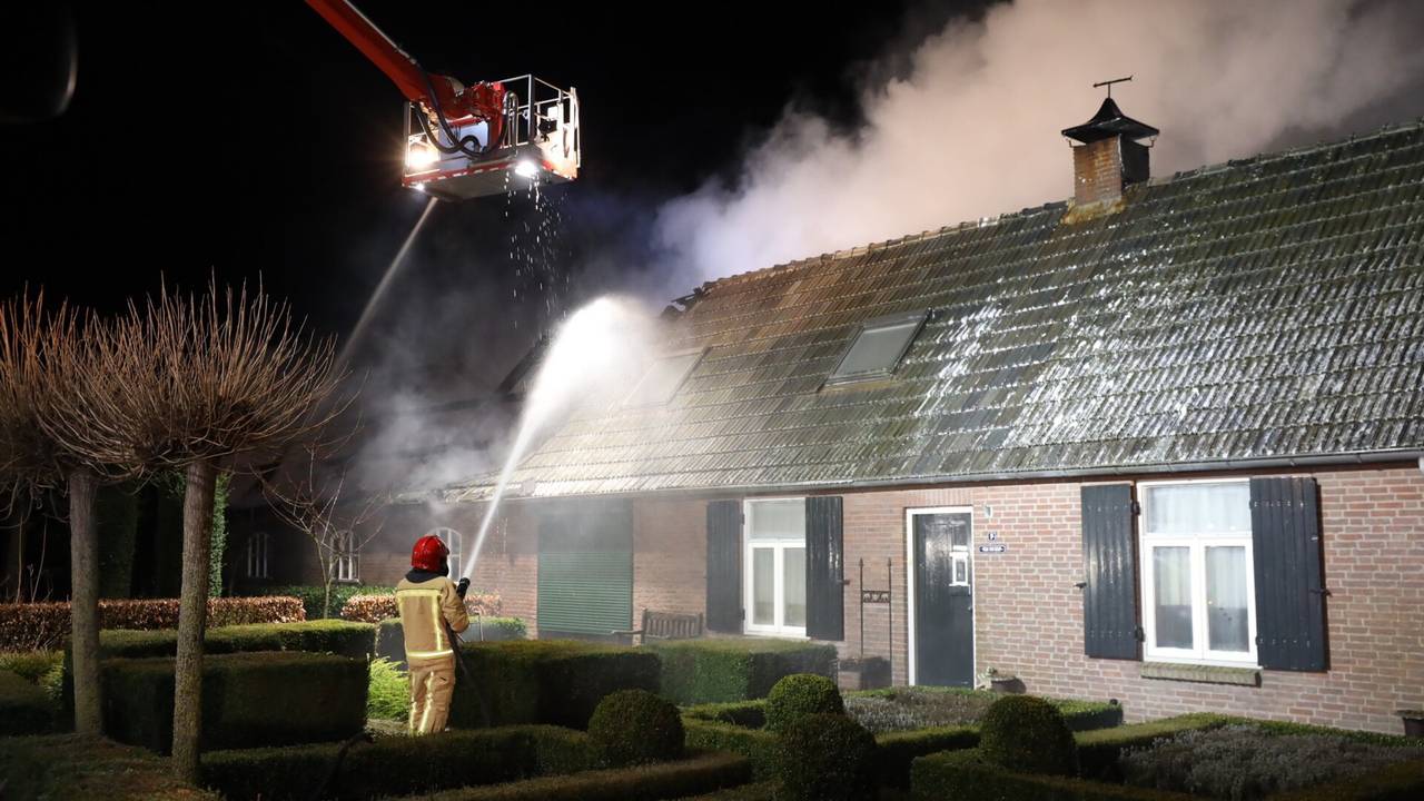 Foto: Sander van Gils/SQ Vision