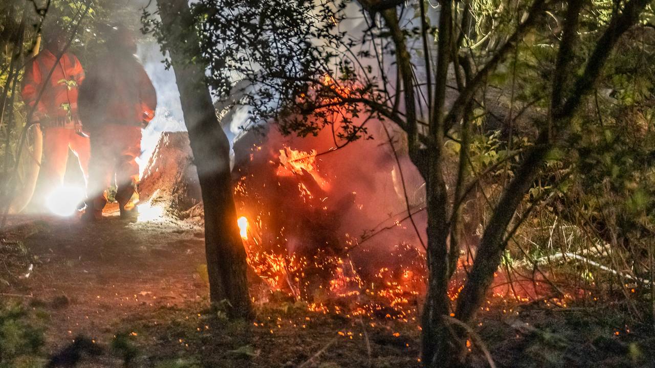 Foto: Jack Brekelmans/SQ Vision.