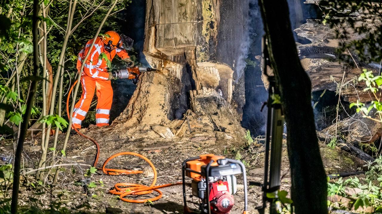 Foto: Jack Brekelmans/SQ Vision.