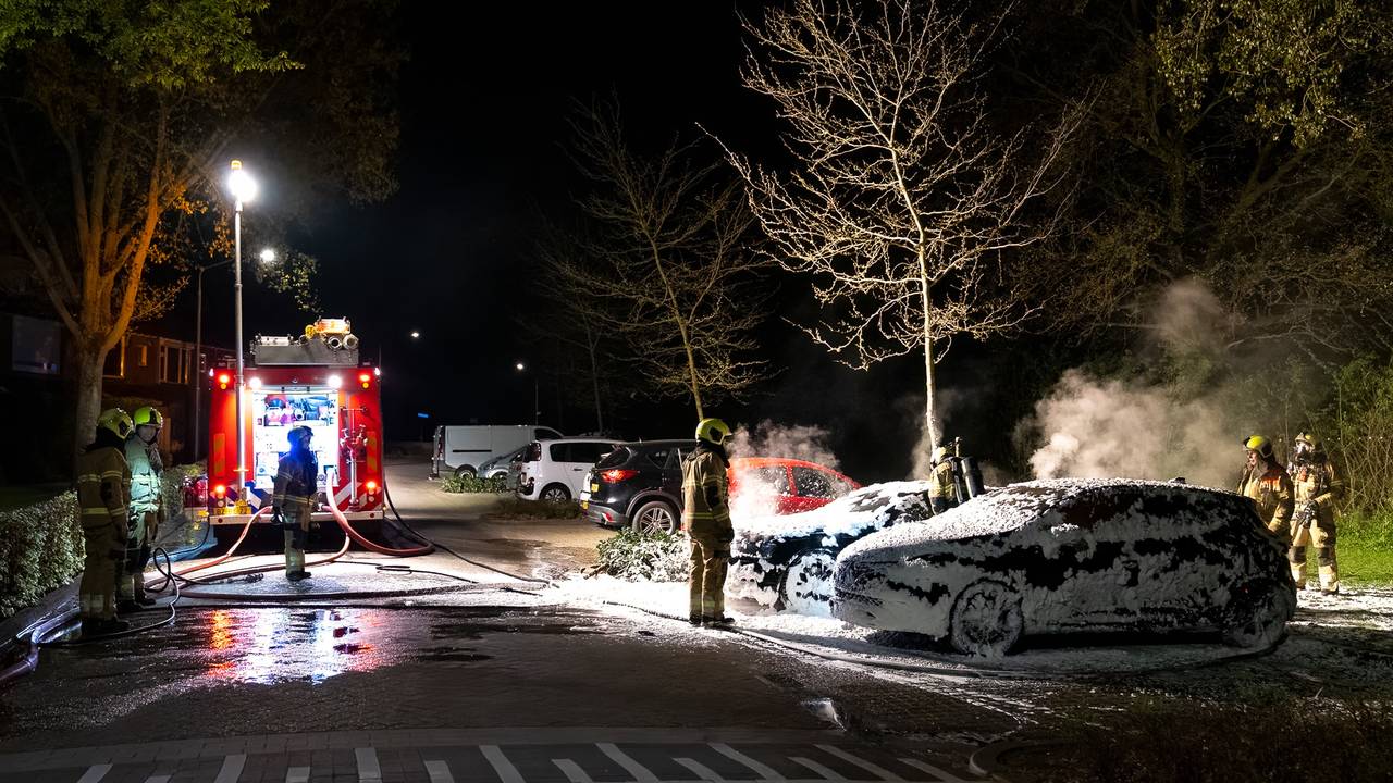 Foto: Iwan van Dun/SQ Vision