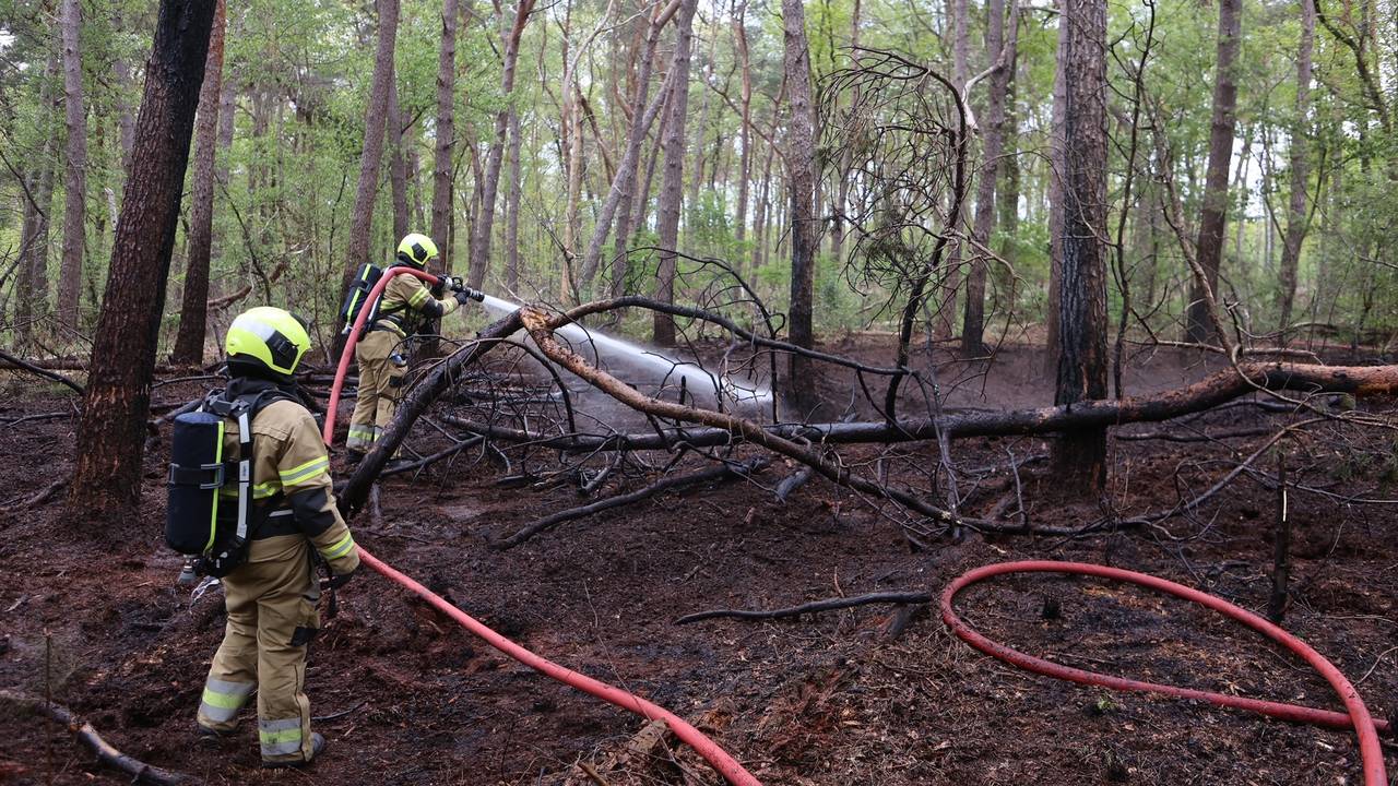 Foto: Bart Meesters/SQ Vision.