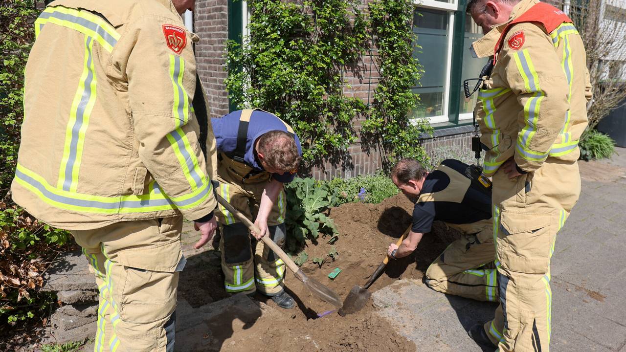 Foto: Arno van der Linden/SQ Vision