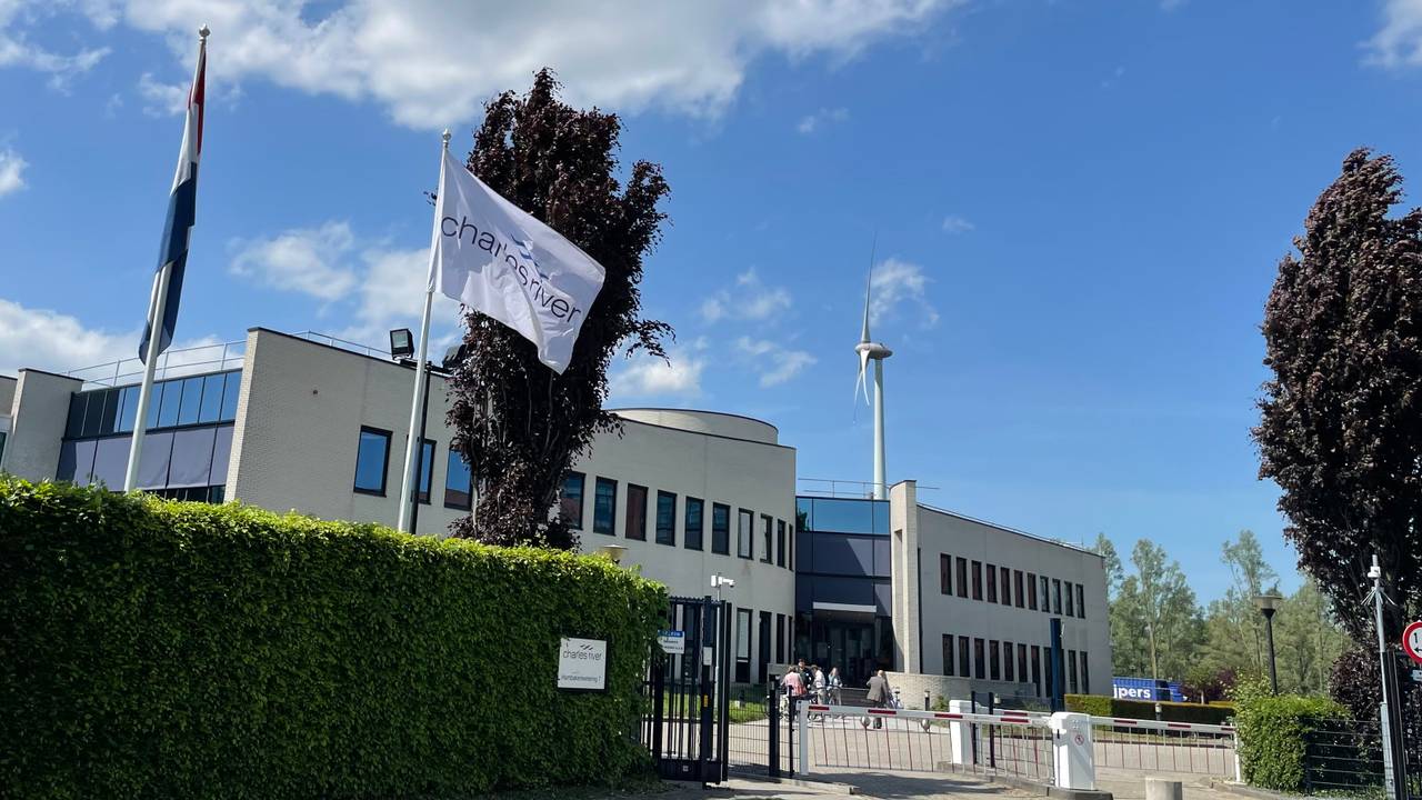 Charles River in Den Bosch (foto: Tom van den Oetelaar).