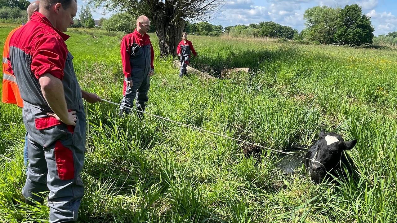 Foto: Bart Meesters/SQ Vision