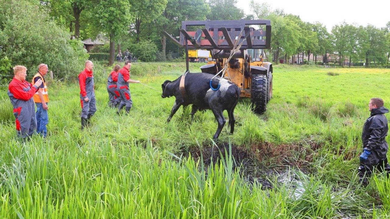 Foto: Bart Meesters/SQ Vision