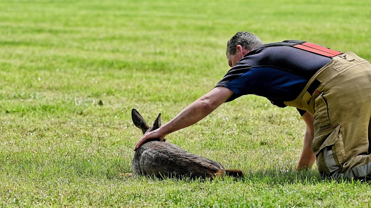 Foto: Toby de Kort/SQ Vision