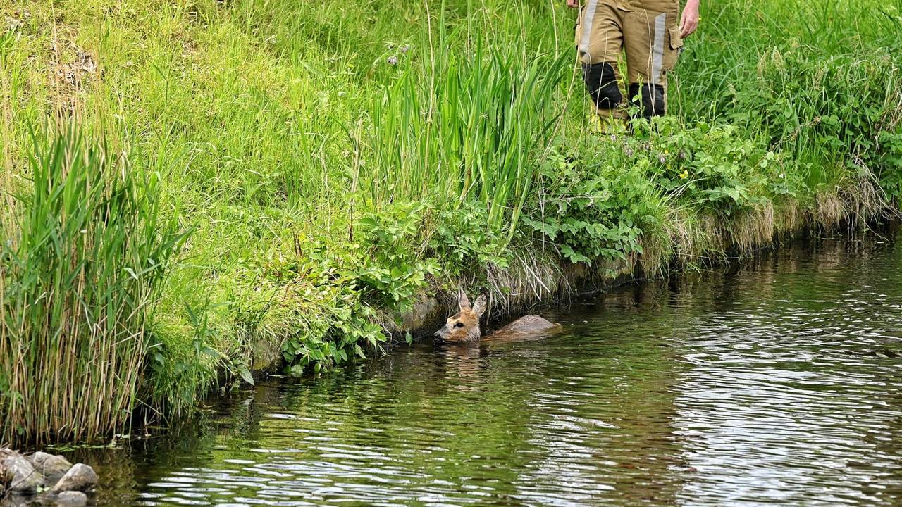 Foto: Toby de Kort/SQ Vision