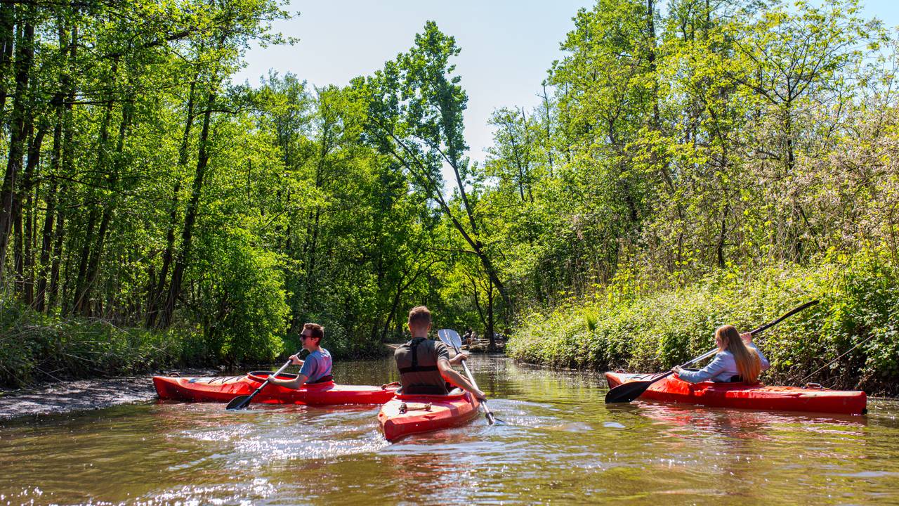 Voorlopig geen kano's op de Dommel (foto: Rofra).
