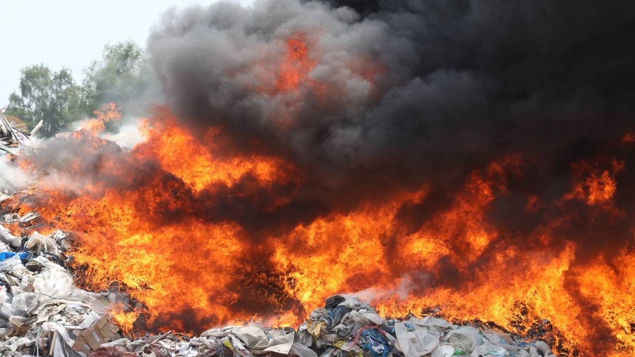 Foto: Sander van Gils/SQ Vision Mediaprodukties