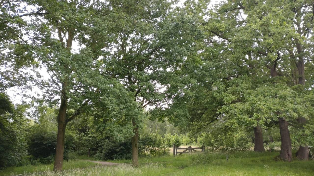 Plek waar de gemeente het bouwverkeer door wilt laten rijden (foto: Alfred van Kempen)