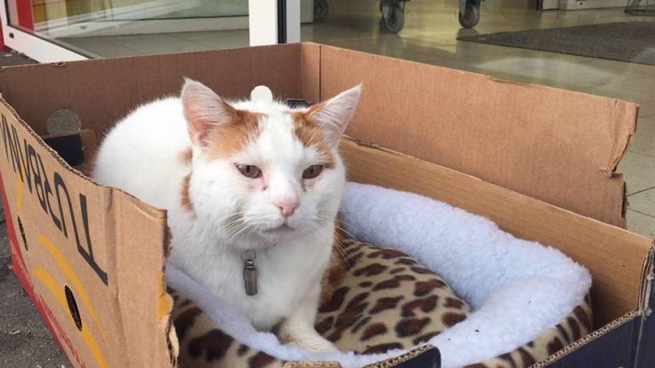 Bob in zijn jongere jaren voor de supermarkt (foto:archief)