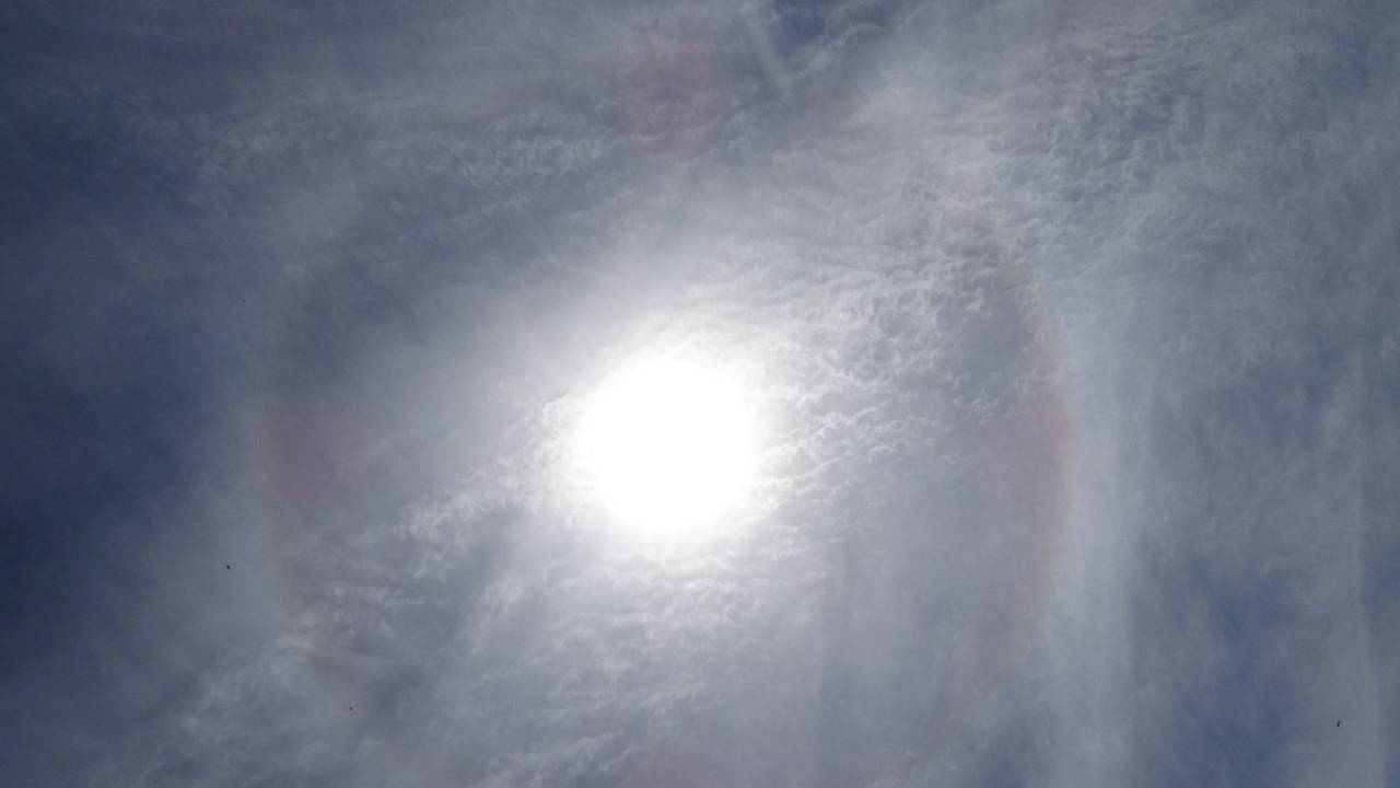 Foto: Anja Bastiaansen.