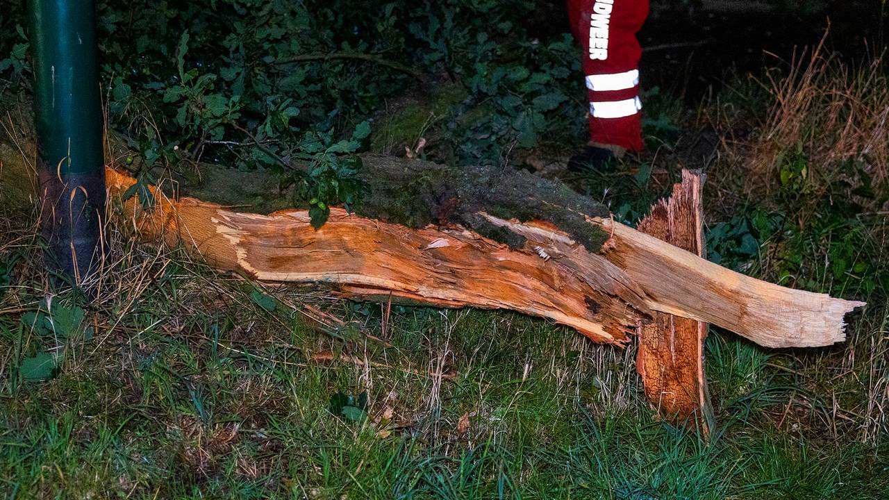 Foto: Sander van Gils - SQ Vision