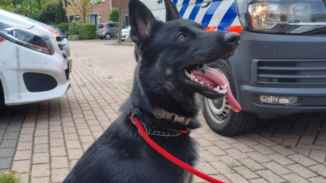 Foto: politie.