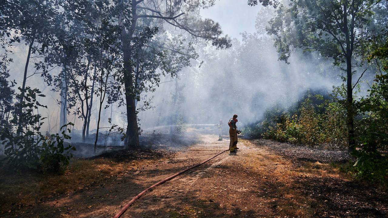 Foto: Tom van der Put - SQ Vision
