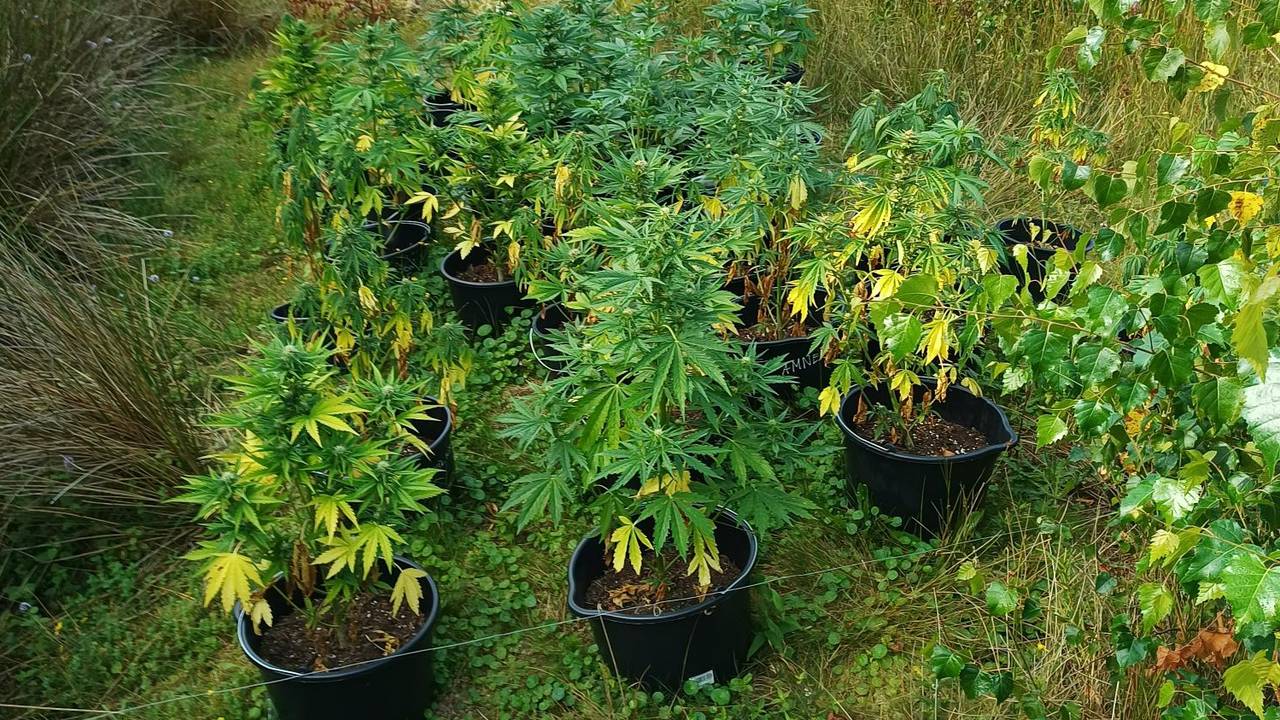 Foto: Instagram - Boa Staatsbosbeheer Brabant 