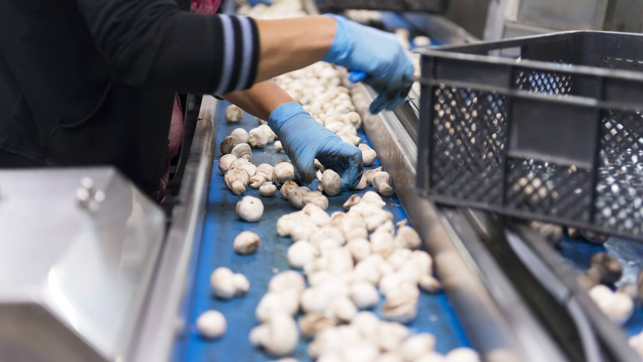 Foto: ANP  Tom van Limpt