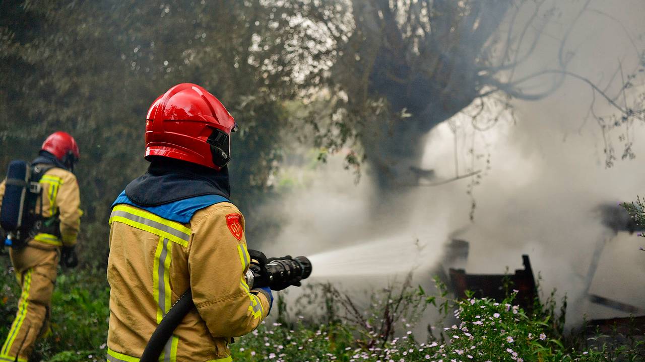 Foto: Rico Vogels - SQ Vision