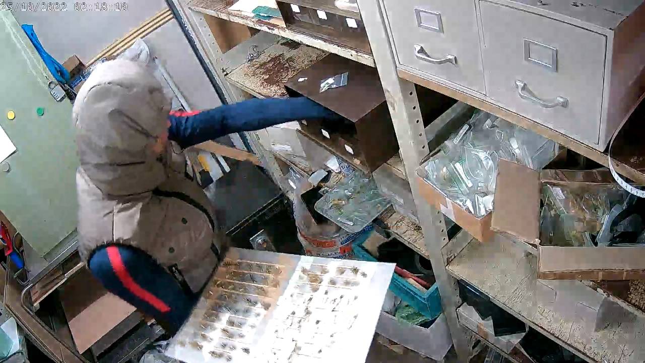 De dieven graaiden alle sieraden uit het atelier (foto: beveiligingsbeelden Tweek)