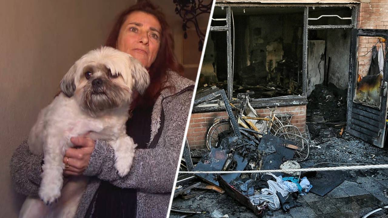 Foto: Omroep Brabant, Toby de Kort/SQ Vision.