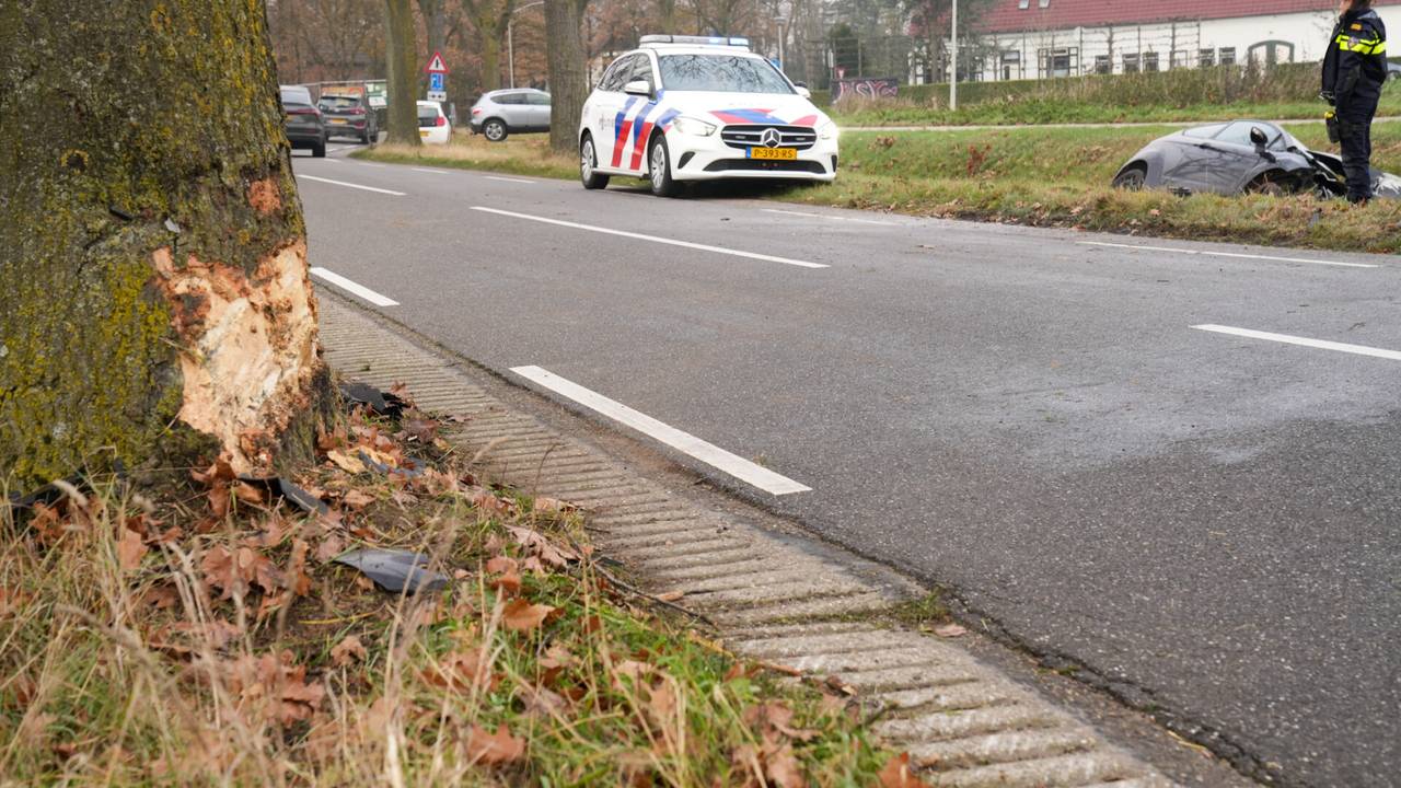 De boom waar de automobilist tegenaan reed (foto: Harrie Grijseels/SQ Vision).