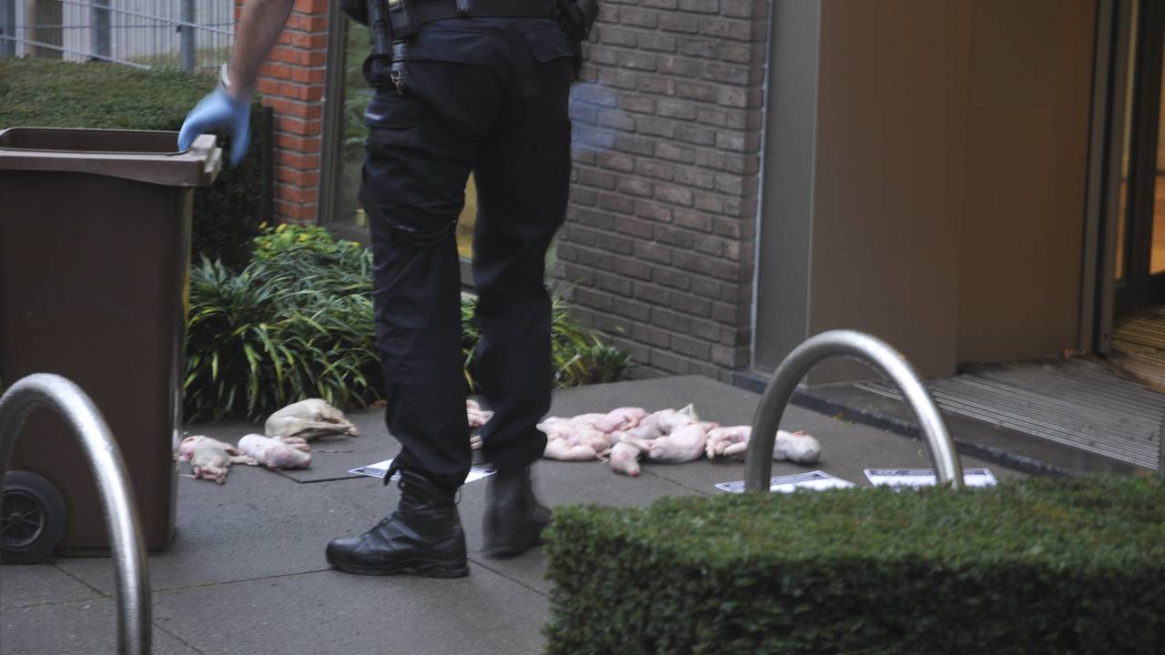 Foto: Thomas Bunthof/ Meesters Multi Media