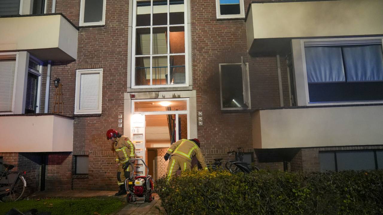 Foto: Harrie Grijseels SQ Vision Mediaprodukties