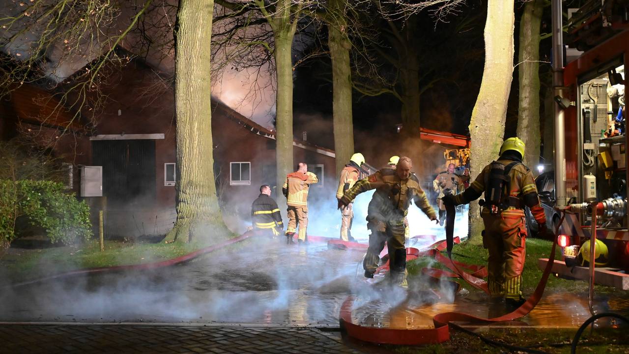 Foto: Perry Roovers / SQ Vision