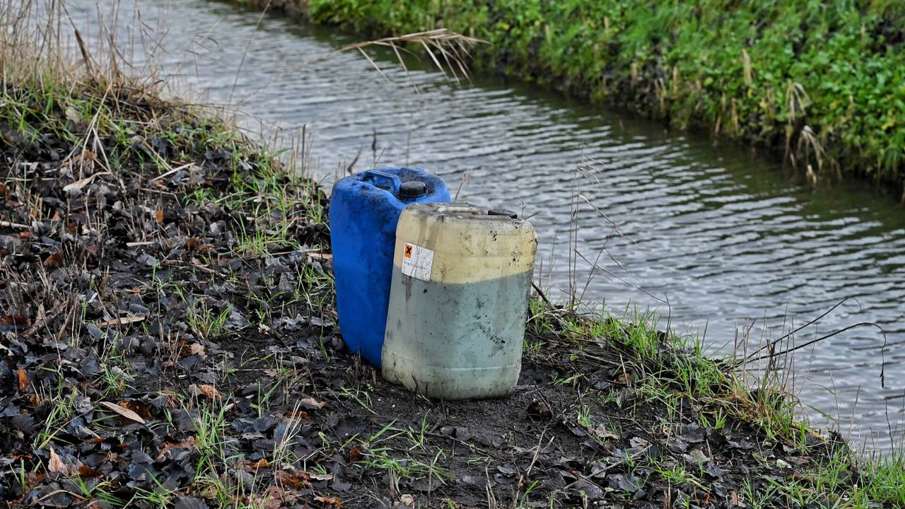 Foto: Toby de Kort/SQ Vision.