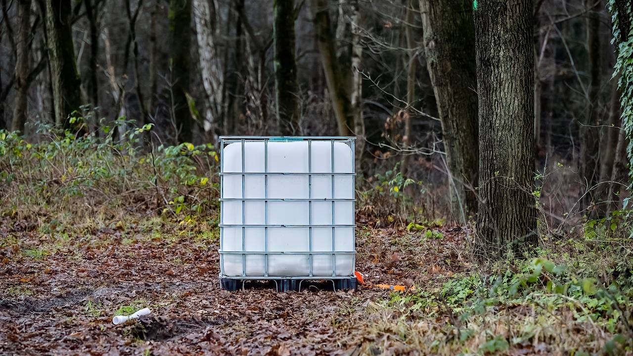 Foto: Jack Brekelmans/SQ Vision