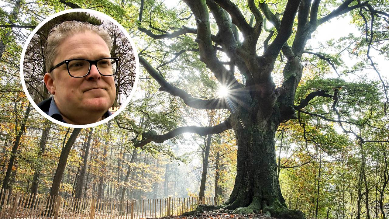 Vrijetijdsdeskundige Goof Lukken