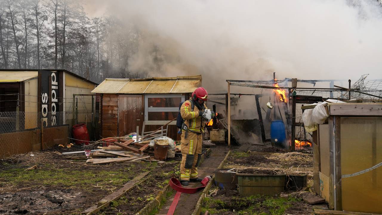 Foto: Harrie Grijseels / SQ Vision