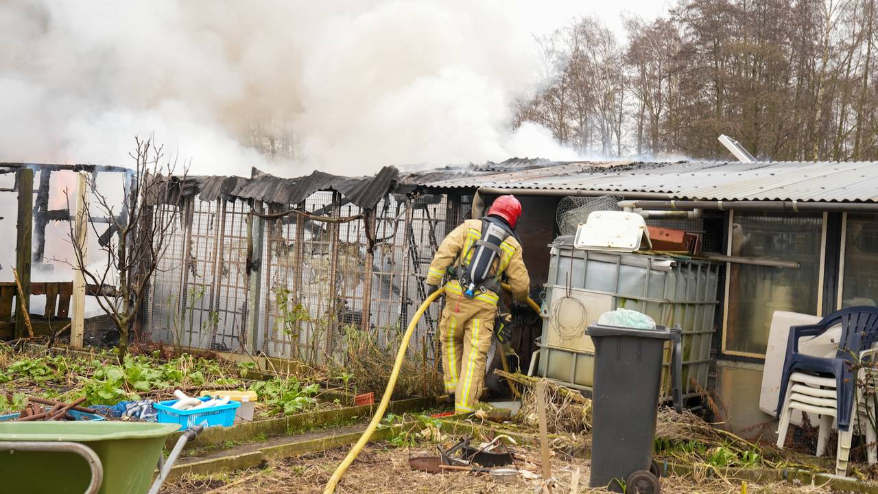 Foto: Harrie Grijseels / SQ Vision