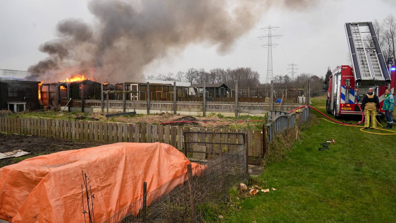 Foto: Harrie Grijseels / SQ Vision