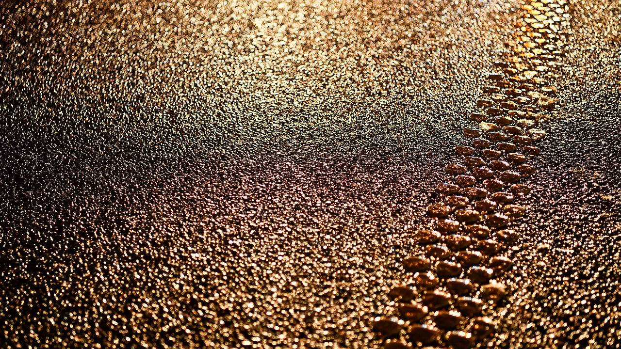 Foto: Rico Vogels / SQ Vision