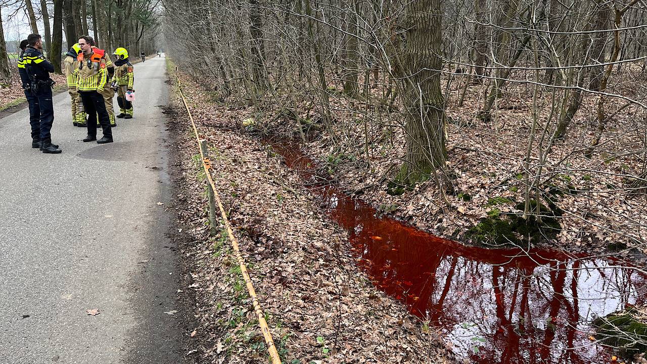 Foto: Jeroen Stuve/SQ Vision Mediaprodukties