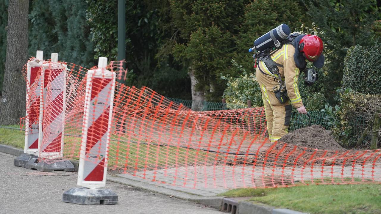 Foto: WdG / SQ Vision