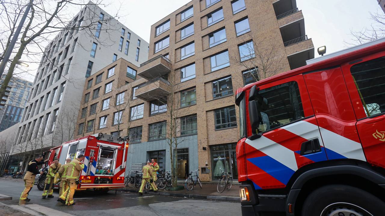 Foto: Arno van der Linden/SQ Vision