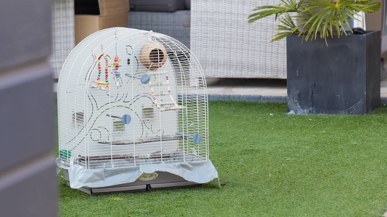 Een vogel overleefde de brand niet (foto: Harrie Grijseels/SQ Vision).