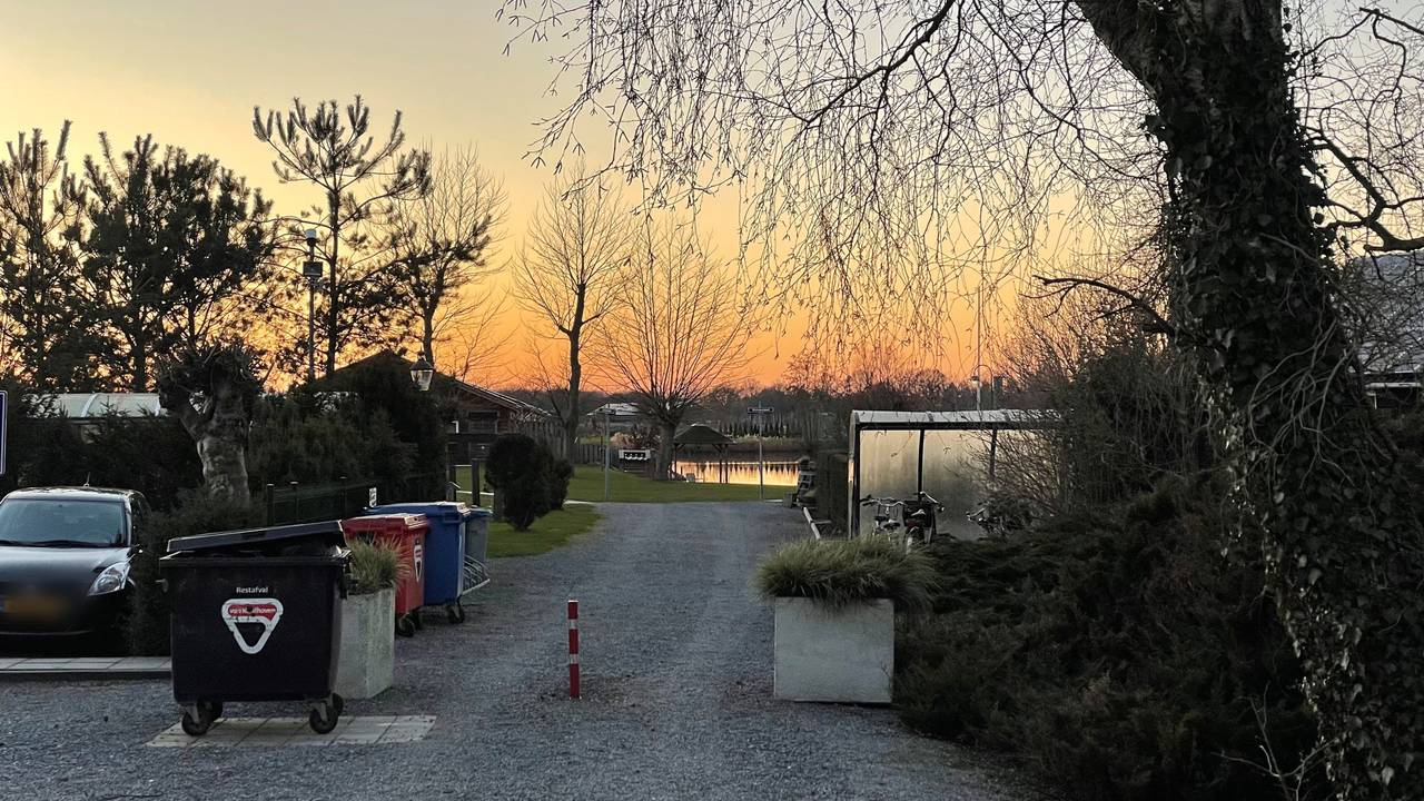 www.omroepbrabant.nl